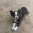 Maggie