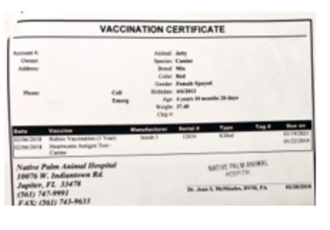 Spay/Neuter document example